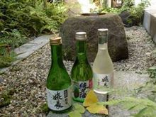 涼風酒