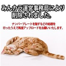 黒スタさん　&#215;　マルちゃん【当選者発表】