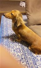メルちゃん！大丈夫？