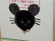 モカハウスは今。