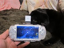 ご無沙汰中の徒然①