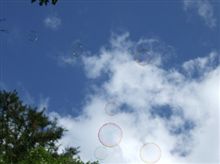 職場キャンプ10/08/06~08 職場キャンプ10/08/06~08