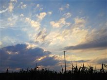 本日の夕空 H22.8.8