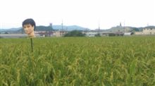 関のお山の仕事の合間に 関のお山の仕事の合間に