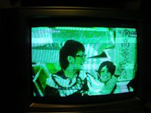 地で鹿棲んでいますか? 地で鹿棲んでいますか?