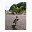 敵わない相手