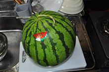 でかすぎやろう～汗