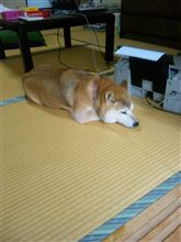 暇ぁ～(&#180;Д`) 