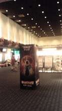 今日も映画館に…