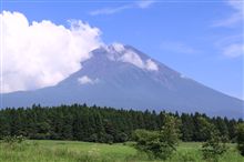 夏休み恒例イベント