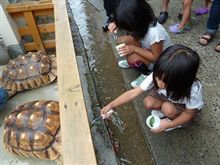 家族サービス・・・