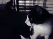 再会