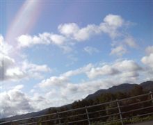 こんな天気ですが・・・