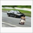 走行日記　ふつうに走るを目標に。