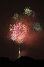 今日も夜遊び