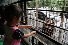 夏休みの楽しかった出来事…ヽ(*´∀`)ノ キャッホーイ!! 夏休みの楽しかった出来事…ヽ(*´∀`)ノ キャッホーイ!!