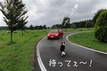 ☆秋のあしおと☆