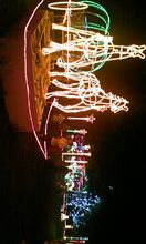 in APPI
