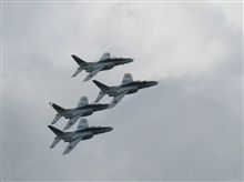 CHITOSE AIRBASE 航空祭2010