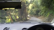 走ってみる