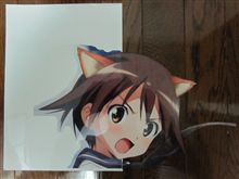 大きいシートは興奮します…！