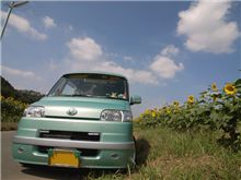 ノリノリドライブ？・・・２２　ひまわり