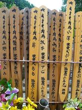 本日はお墓参りに(ナ~ム~) 本日はお墓参りに(ナ~ム~)