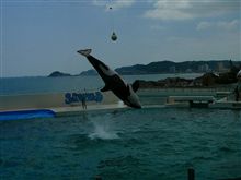 夏休み in 房総半島 夏休み in 房総半島