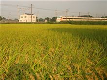 そろそろ、〇〇の時期かな…（ちょっと追記あり）