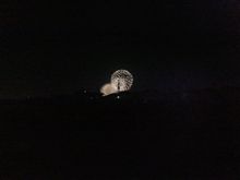 “ﾎﾟｯｶﾘと…”