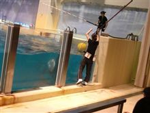 そんな気分じゃなかったらしぃ
