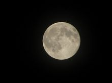 満月ですね