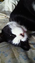 今日も一日。