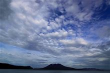 ２０１０年　鹿児島帰省日記④