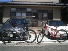 痛い(&gt;_&lt;)