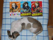 こんどは...