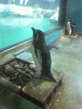 天候には恵まれず 天候には恵まれず