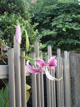 おはようございま～す♪