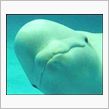 あぷち家一泊旅行 プランニング完了
(｀∇&#180;ゞ