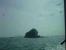 ♪前は～海ぃ