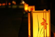 宇陀松山夢街道