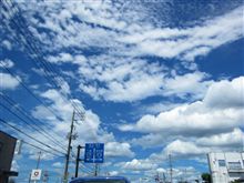 萩ドラ