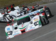 American Le Mans Series