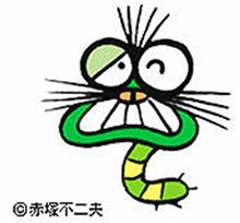 毛虫☆