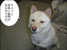 情報求む!… 情報求む!…