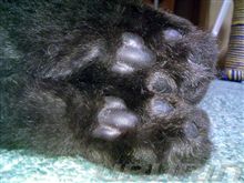 でたぁ～～～　こんなの初めて！