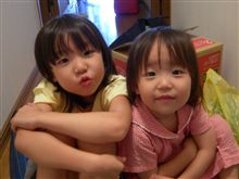 子たぬき。