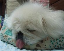さすがに今日は・・・♪