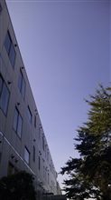 土曜出勤