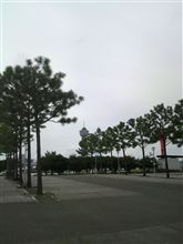 気がつけば